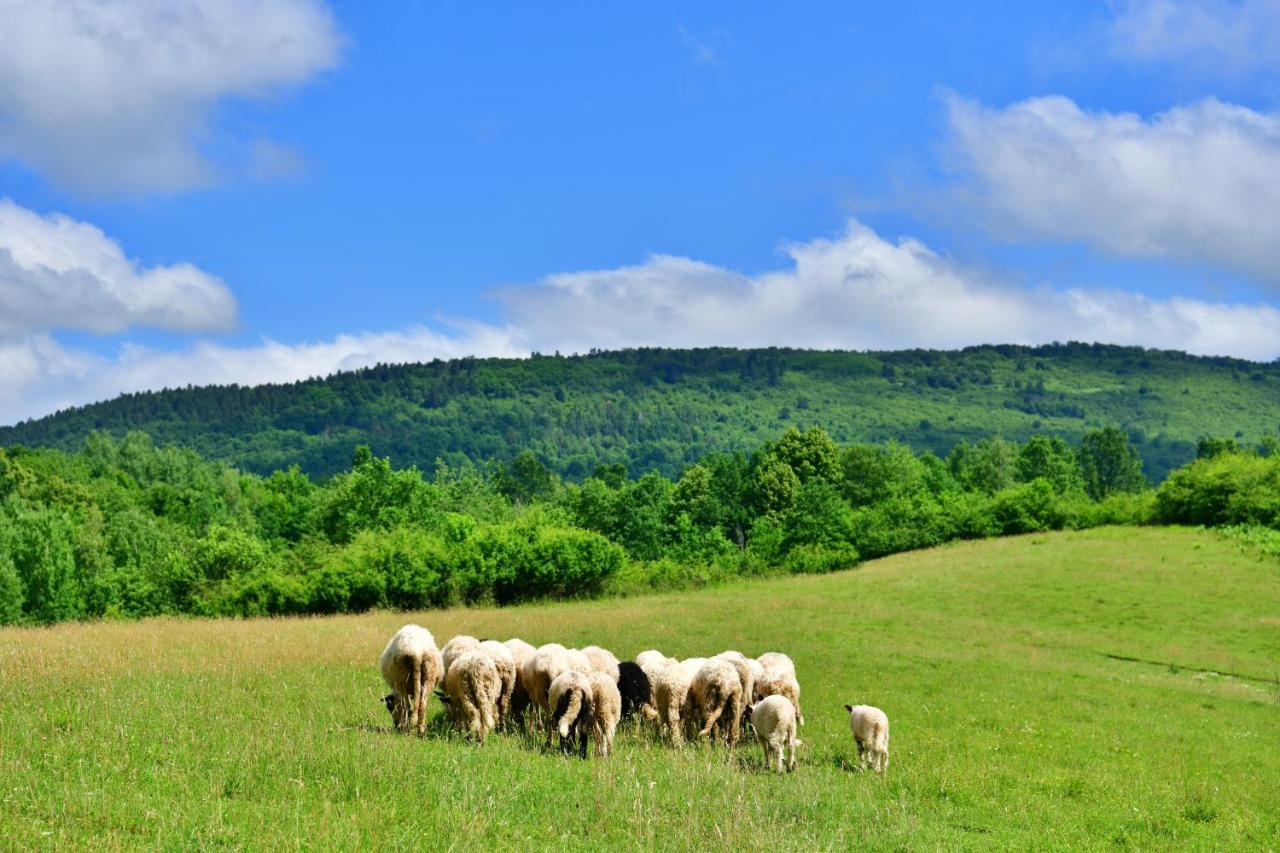 Natura Hause Раковица Екстер'єр фото